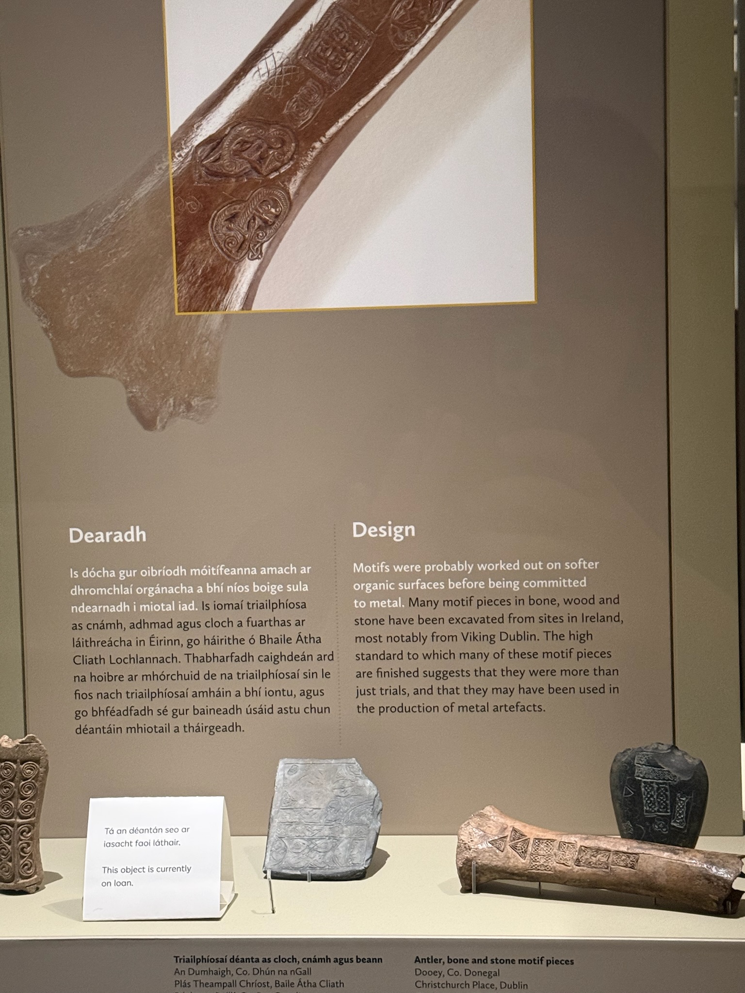 A bone with decorative designs carved into its exterior
