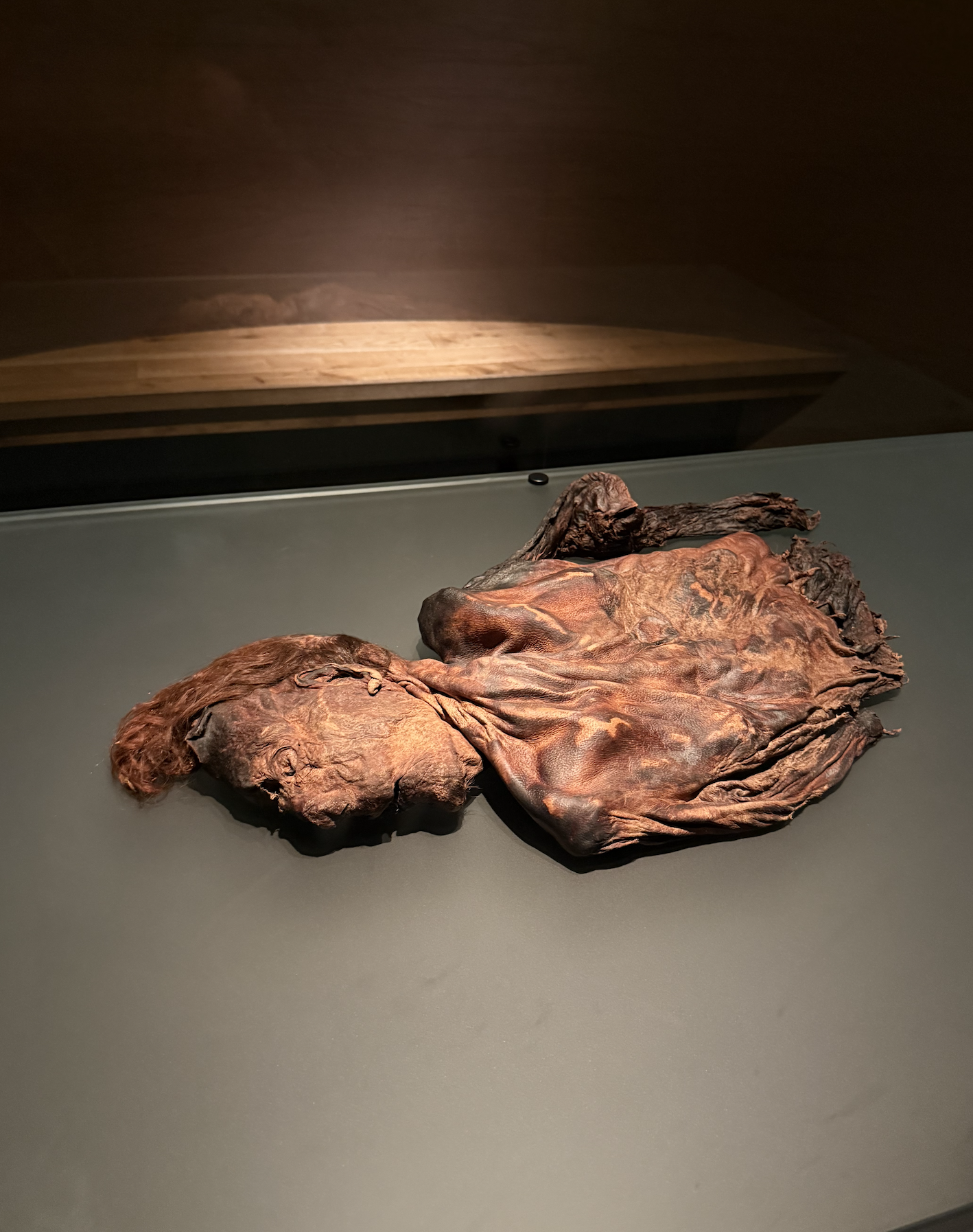 Dark brown ancient mummified upper body