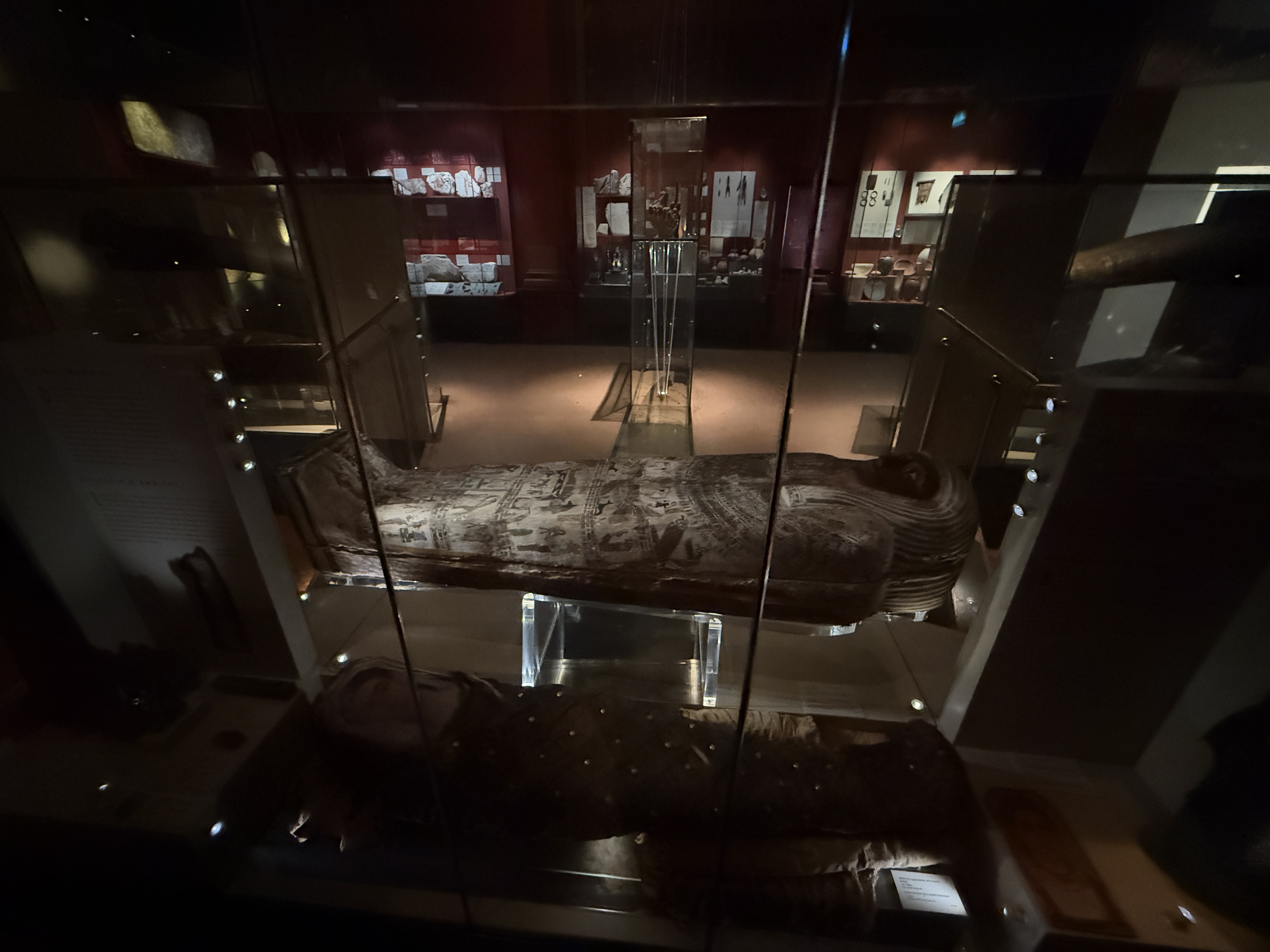 dimmed light room displaying egyptian mummy